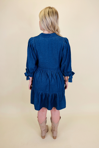 Sweet Caroline Denim Dress