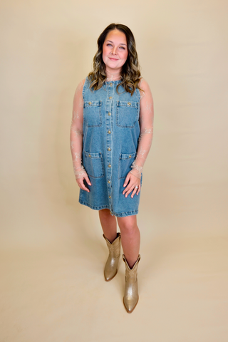 The Sofia Denim Dress